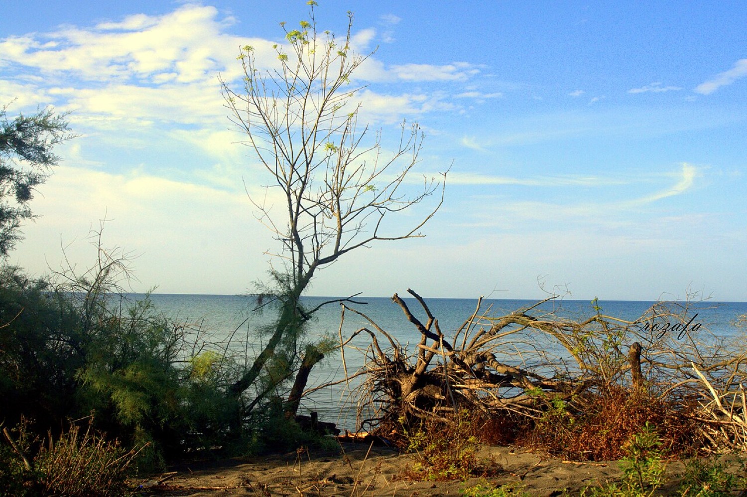 Velipojë Beach Albania — the wide sandy Adriatic shore looking along the 5 km beach