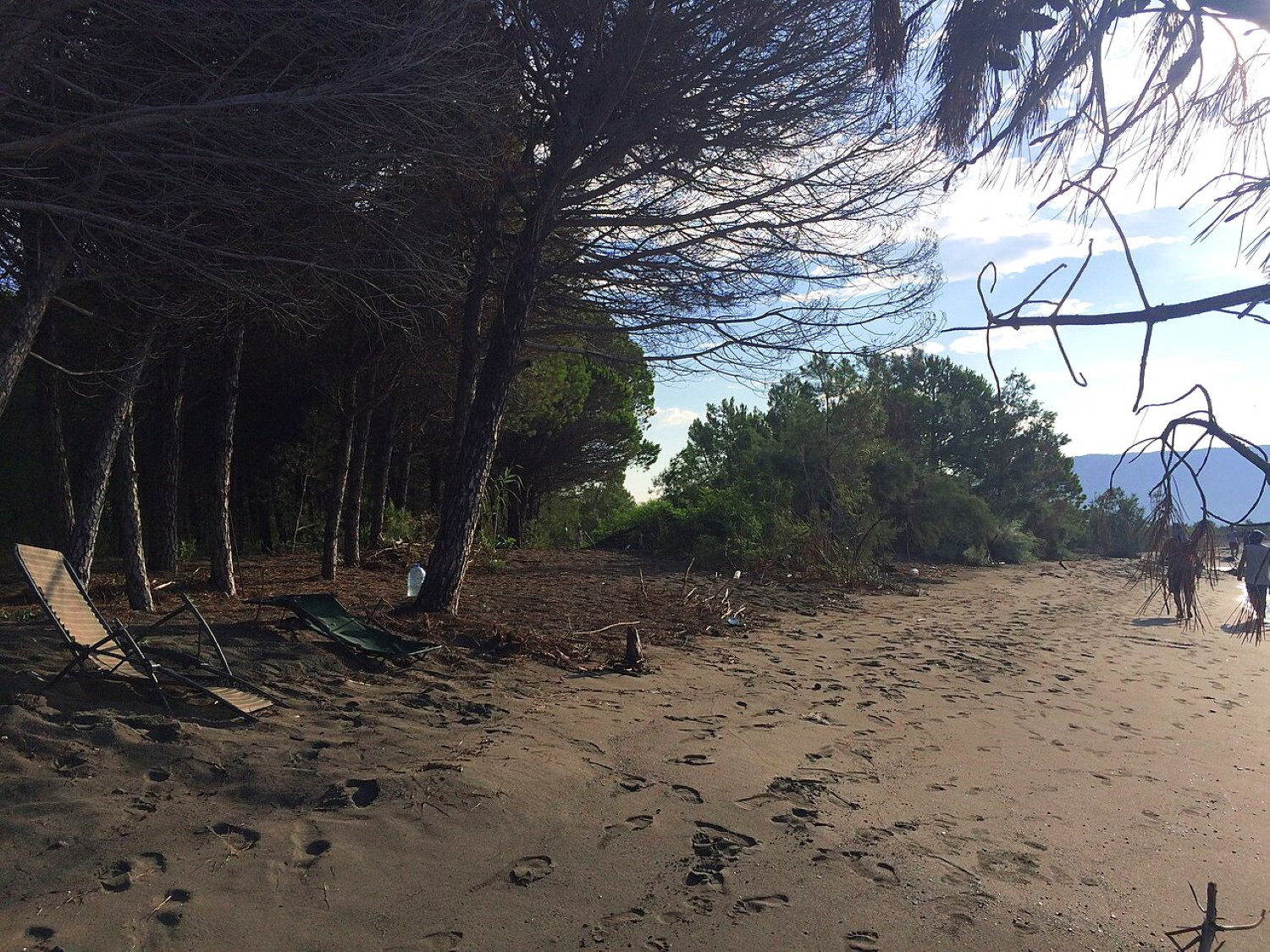 Velipojë — the Buna River delta and Adriatic shore at the meeting of river and sea