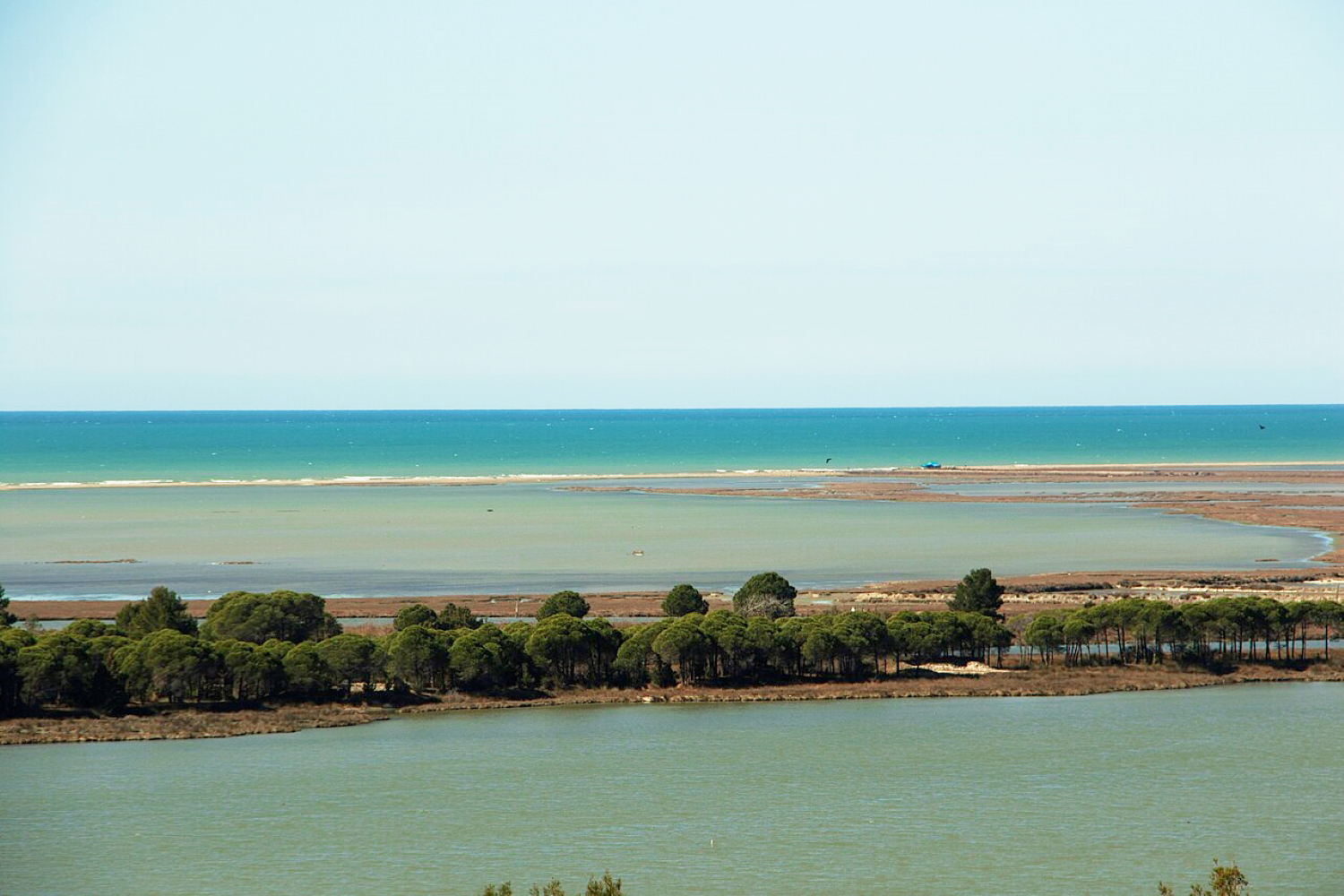 Divjakë-Karavasta National Park aerial view — lagoon, pine forest, and Adriatic coast