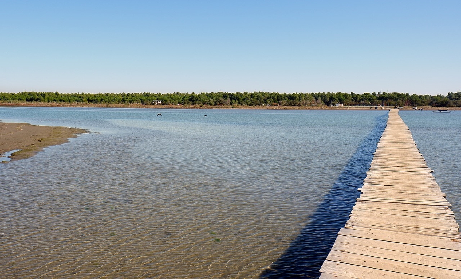 Divjakë-Karavasta National Park — pine forest and lagoon landscape behind the Adriatic beach