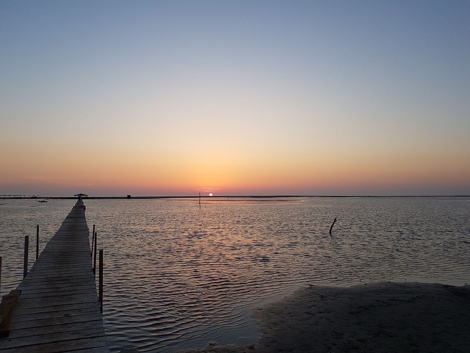 Divjakë sunset — golden light over the Adriatic from inside the national park